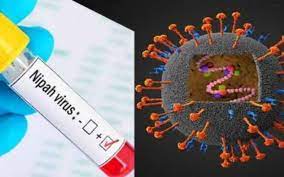 خطرناک نپاہ وائرس کے پاکستان میں بھی پھیلاؤ کا ممکنہ خطرہ، الرٹ جاری