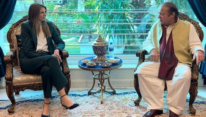 پاکستان میں برطانوی ہائی کمشنر کی نواز شریف سے ملاقات، مختلف امور پر تبادلہ خیال