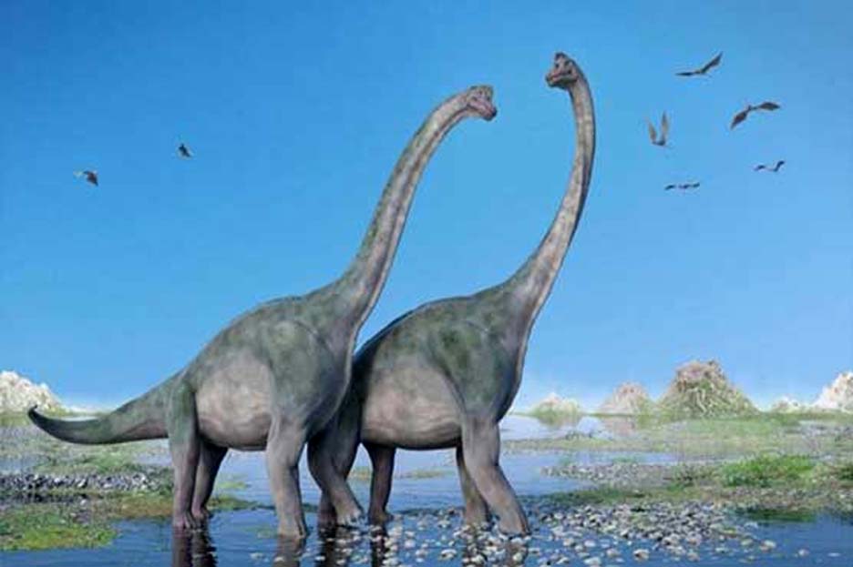 برازیل میں ملے قدموں کے نشان سے ڈائناسور کی نئی نسل دریافت برازیل میں ملے قدموں کے نشان سے ڈائناسور کی نئی نسل دریافت