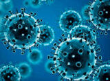 ملک کے 9 اضلاع کے ماحولیاتی نمونوں میں پولیو وائرس کی تصدیق