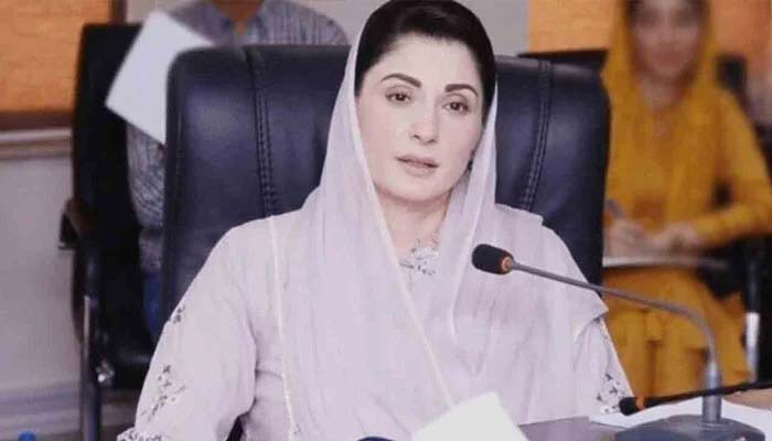 پتنگ بازی کی دھاتی ڈور پختونخوا سے بن کر پنجاب آرہی ہے ، مریم نواز