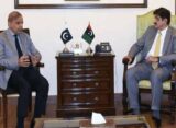 وزیراعظم کی وزیراعلیٰ سندھ سے ملاقات ، مسائل حل کرنے کی یقین دہانی