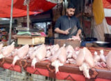 لاہور میں مرغی کے گوشت کو بھی پر لگ گئے
