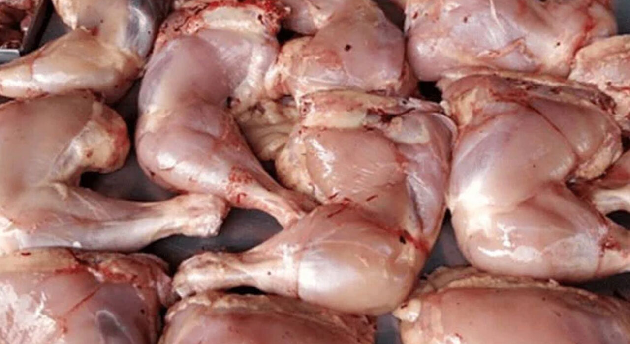 پنجاب سے دیگر صوبوں میں مرغی لیجانے پر پابندی عائد ، بلوچستان میں شدید قلت ہوگئی