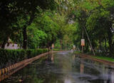 لاہور سمیت ملک بھر میں مون سون بارشوں نے رنگ جما دیا