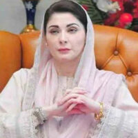 ہرشہر میں ڈولفن فورس بنائی جائے ، مریم نواز