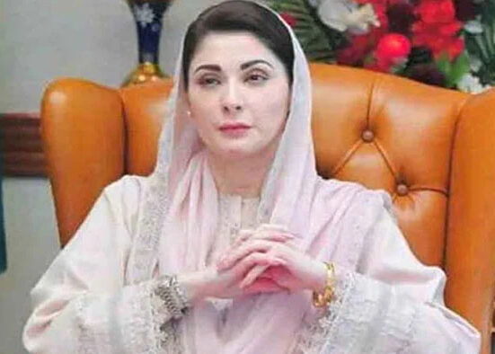 مریم نواز اور نواز شریف سے جاپانی سفیر کی ملاقات، تعاون کے فروغ پر تبادلہ خیال