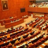 پاکستان آرمی ایکٹ ترمیمی بل 2025 سینیٹ سے کثرت رائے سے منظور
