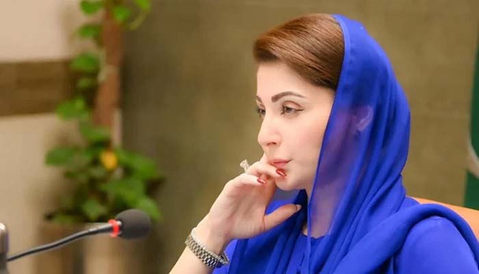بچے میری ریڈ لائن ،ہر قسم کے تشدد کا تدارک کرینگے ، مریم نوا ز