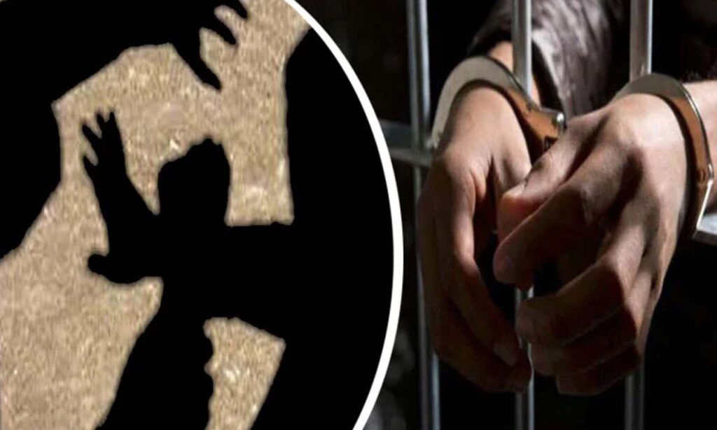 رحیم یار خان ، نوکر ی کا جھانسہ دیکر خاتون سے زیادتی کرنیوالا ملزم گرفتار