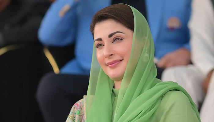 ویٹ لینڈز کا دفاع ماحولیاتی بقا کیلئے ناگزیر ہے، مریم نواز
