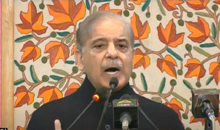 بھارت کو ترقی میں پیچھے نہ چھوڑا تو میرا نام شہباز شریف نہیں، وزیراعظم