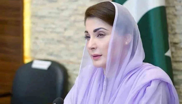 تھیٹر فن و ثقافت کا آئینہ دار ہے: وزیرِ اعلی پنجاب