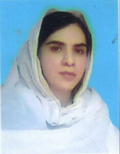 ہم ہیں پاکستانی پاکستان ہمارا ہے