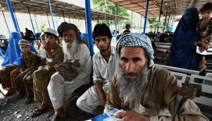 پنجاب بھر سے افغانیوں سمیت 13 ہزار 442 غیر قانونی مقیم باشندے ڈی پورٹ