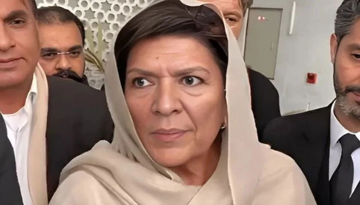 بانی کا پارٹی کے لیے پیغام ہے اب وقت آگیا مضبوطی سے کھڑے ہوجائیں، علیمہ خان