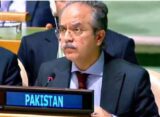 افغانستان سے سرگرم دہشت گرد تنظیمیں پوری دنیا کیلئے خطرہ: پاکستان
