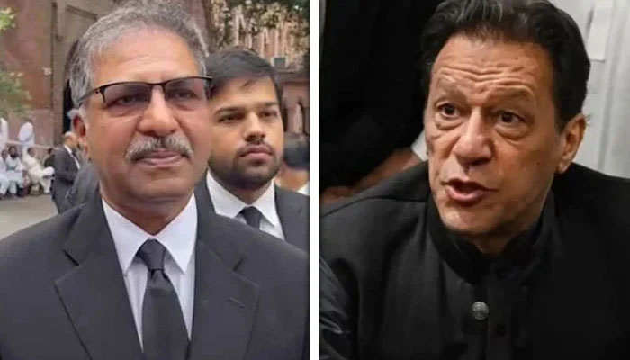 بانی پی ٹی آئی نے حکومت کیخلاف احتجاجی تحریک شروع کرنے کا اعلان کردیا، سینیٹر علی ظفر