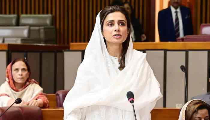 بھارت نے ہندوتوا سوچ کو دنیا میں پھیلانے کی کوشش کی: حنا ربانی کھر