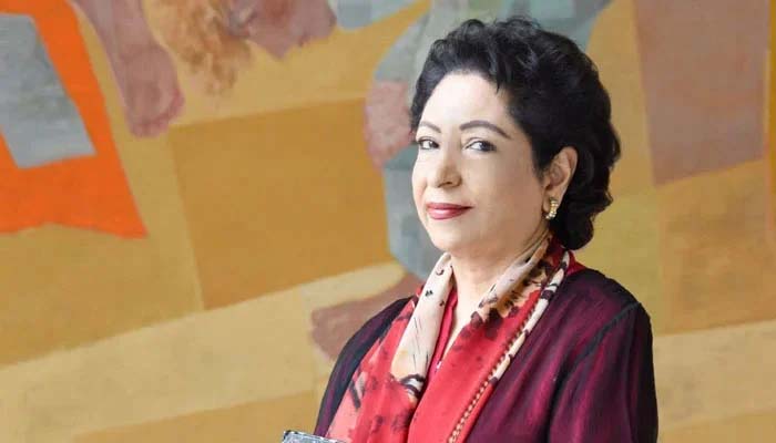 بھارت نے پہل کی ہم نے جواب دیا، ڈاکٹر ملیحہ لودھی