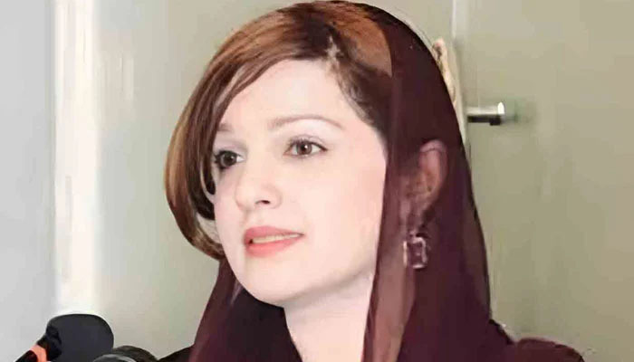 جب تک کشمیر کا مسئلہ حل نہیں ہوتا مودی جارحیت دہراتا رہے گا: مشعال ملک