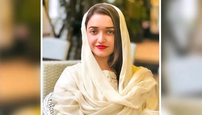 ریاستی اداروں کیخلاف پوسٹ کا معاملہ: صنم جاوید کی درخواست ضمانت مسترد