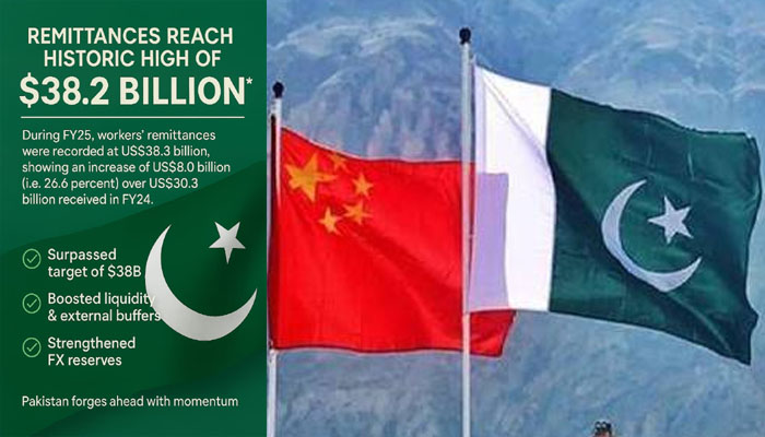 پاکستان کا چین میں پہلے پانڈا بانڈ کے لیے نان ڈیل روڈ شو کا آغاز