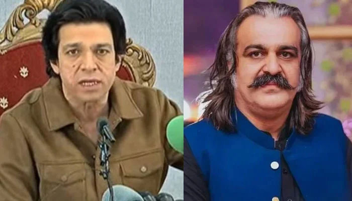 علی امین گنڈاپور سمیت نظریاتی لوگ بانی کی پیٹھ میں چھرا گھونپ رہے ہیں، فیصل واؤڈا