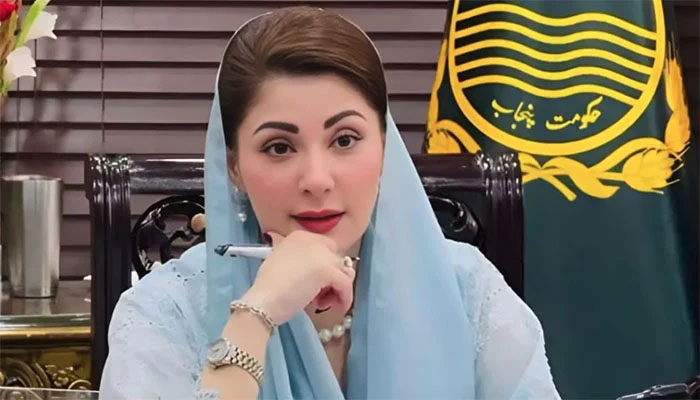 وزیر اعلی مریم نواز نے محرم میں امن و امان، صفائی، خدمت کا نیا ریکارڈ بنایا ہے، ترجمان پنجاب حکومت