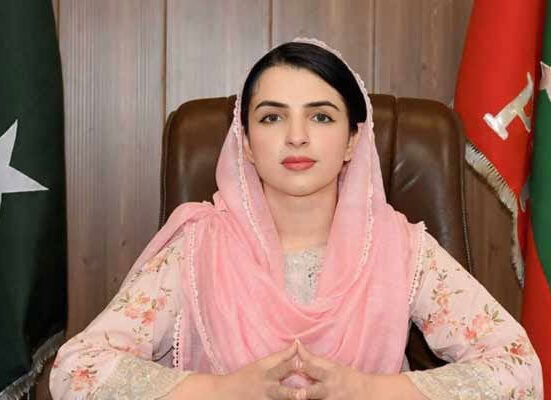 ٹکٹ سے زیادہ اعزاز کی بات یہ ہے میری نامزدگی بانیٔ پی ٹی آئی نے خود کی: مشال یوسفزئی