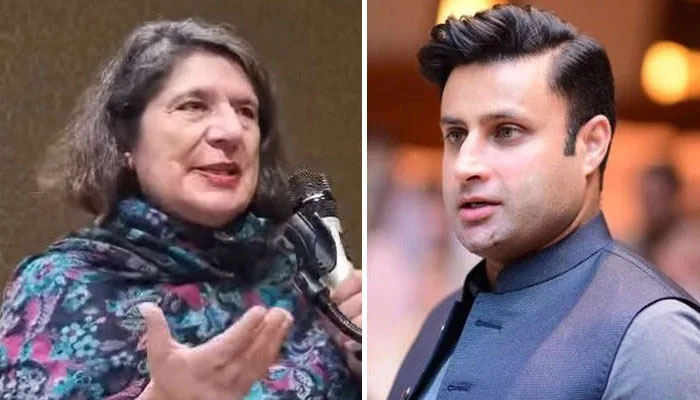 بانیٔ پی ٹی آئی کی بہن روبینہ خان کے ذلفی بخاری پر ایک بار پھر الزامات