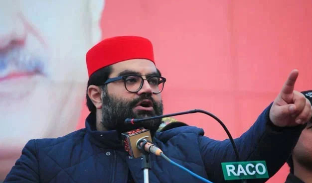 بیرسٹر گوہر نے اے پی سی میں شرکت کی یقین دہانی کروائی، معلوم نہیں کیوں نہیں آئے: ایمل ولی