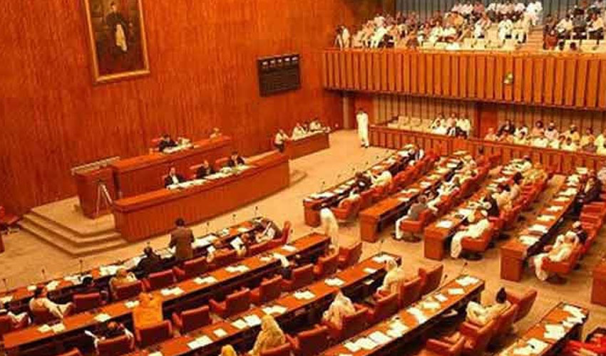 سینیٹ میں پیٹرولیم ایکٹ میں ترمیم منظور