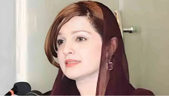 سیاسی اختلاف کا احترام کرتی ہوں، آج ایک ہونا ہوگا، مشعال ملک