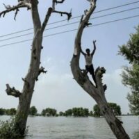 ملتان، رحیم یار خان، راجن پور اور وہاڑی کے سیکڑوں دیہات پانی میں ڈوب گئے