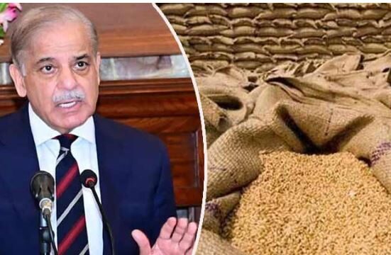 گندم پالیسی 26-2025 منظور، حکومت کا کسانوں کو مناسب قیمت دینے کا فیصلہ