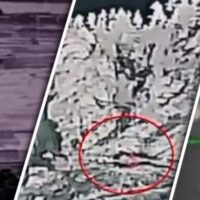 آپریشن غضب للحق؛ پاک فضائیہ کے حملے میں 133 افغان طالبان ہلاک، چیک پوسٹوں پرسفید جھنڈے لہرا دیے گئے