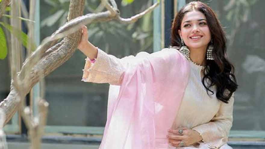صنم جنگ نے چھ ٹریفک جرمانے وصول کرنے کے بعد کراچی کے ای چالان سسٹم پر سوال اٹھائے۔