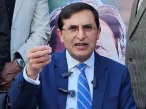 بیرسٹر گوہر