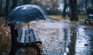 پنجاب میں مون سون سیزن ختم، سب سے زیادہ بارشیں کہاں ہوئیں؟ اعداد وشمار جاری