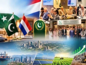 سرمایہ کاری