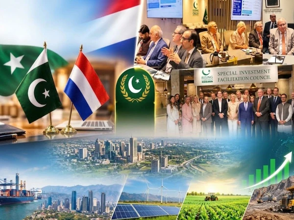 سرمایہ کاری